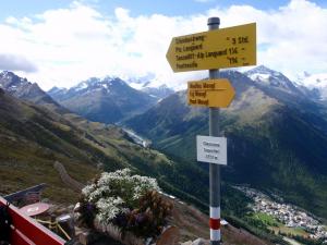 natur-edelweiss3